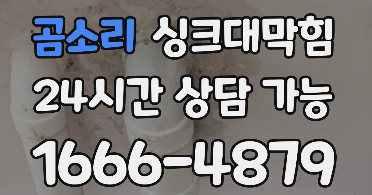 곰소리 싱크대 뚫기