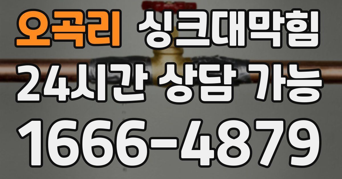 오곡리 싱크대 뚫기