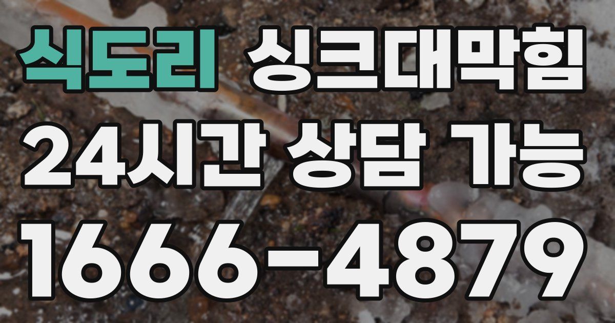 식도리 싱크대 뚫기