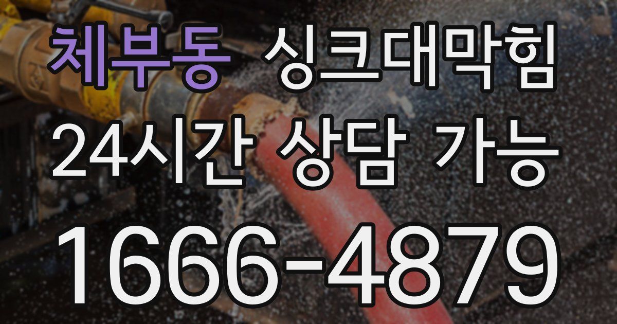 체부동 싱크대 뚫기