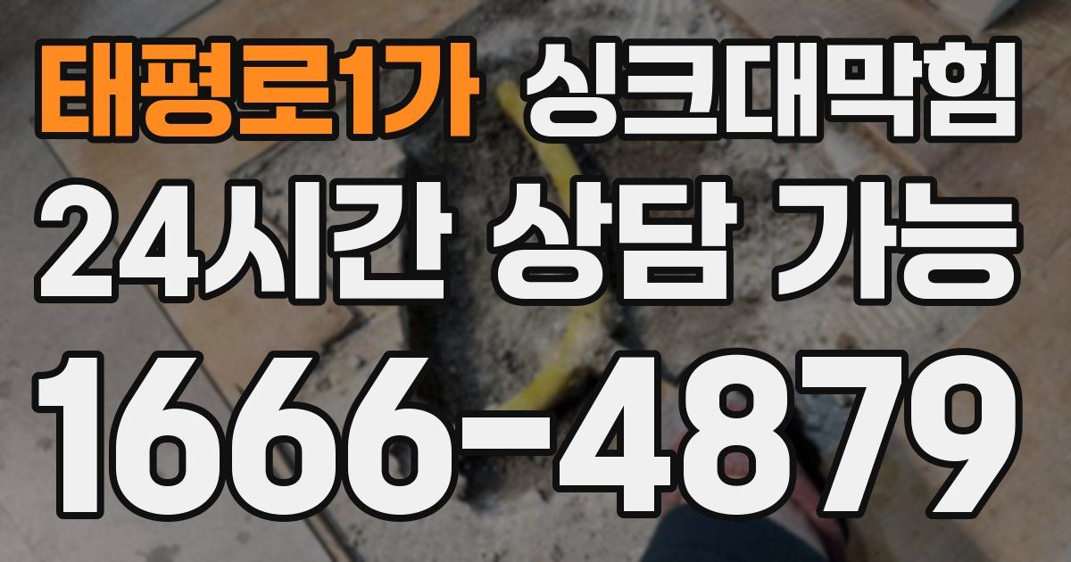 태평로1가 싱크대 뚫기