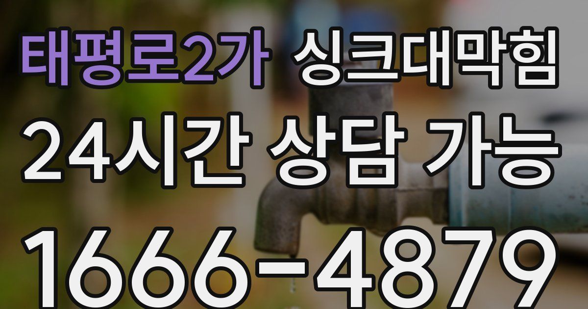 태평로2가 싱크대 뚫기