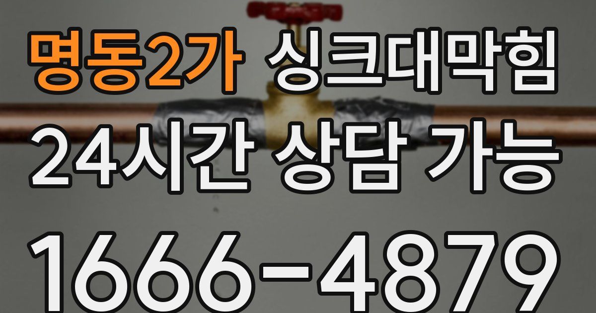 명동2가 싱크대 뚫기