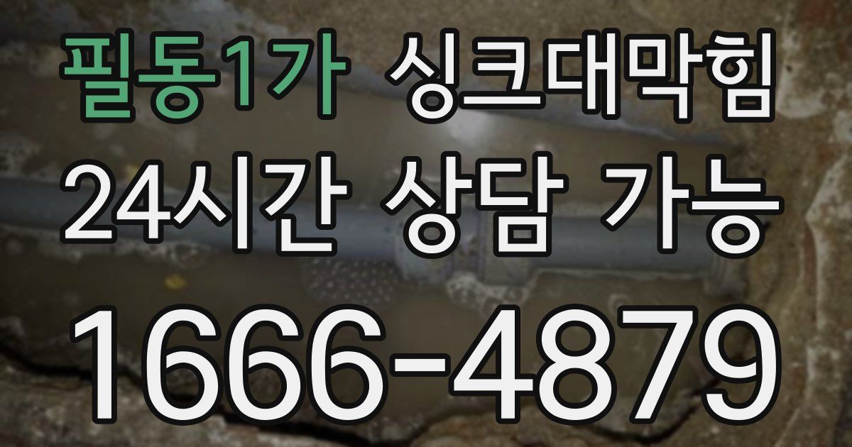 필동1가 싱크대 뚫기