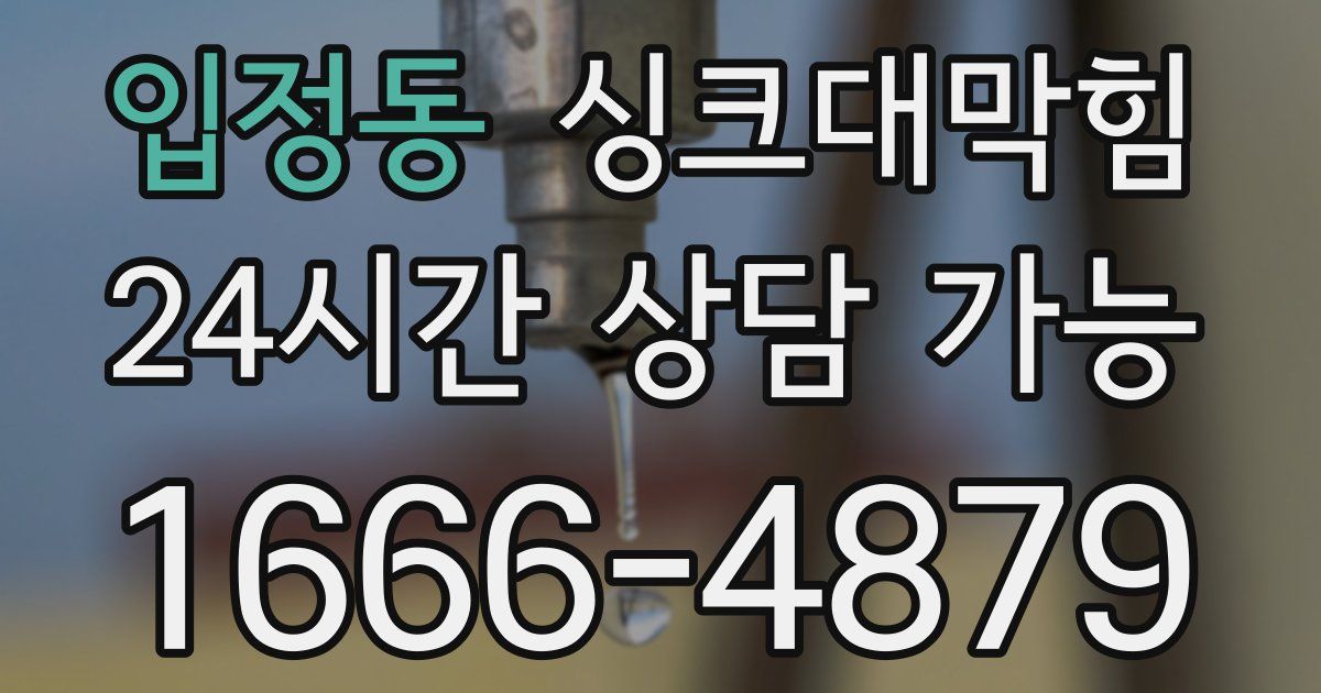 입정동 싱크대 뚫기