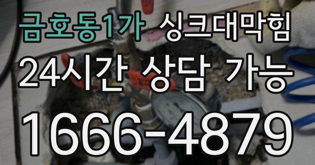 금호동1가 싱크대 뚫기