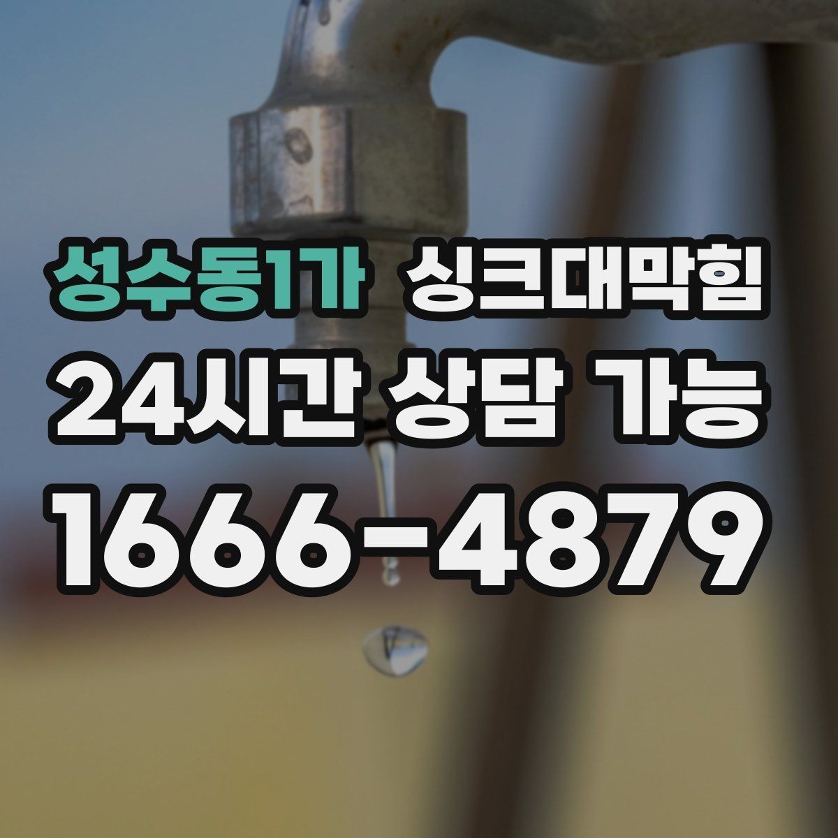 성수동1가 싱크대막힘 배수구막힘 지도화 관리 시스템