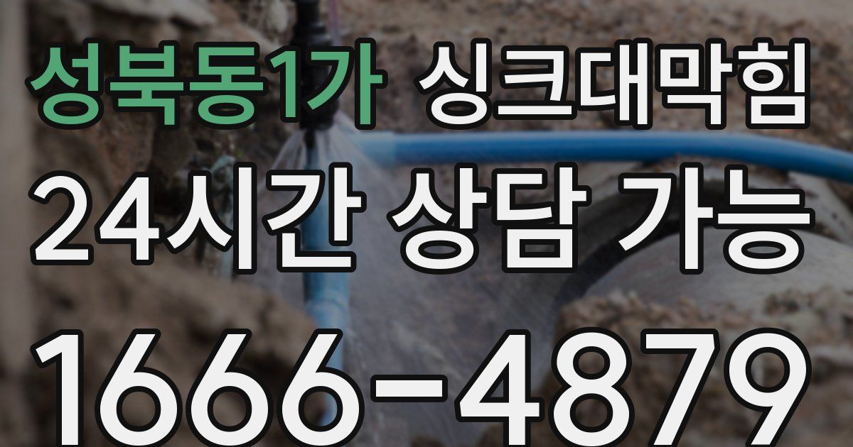 성북동1가 싱크대 뚫기