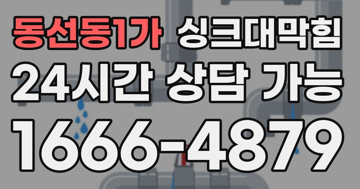 동선동1가 싱크대 뚫기