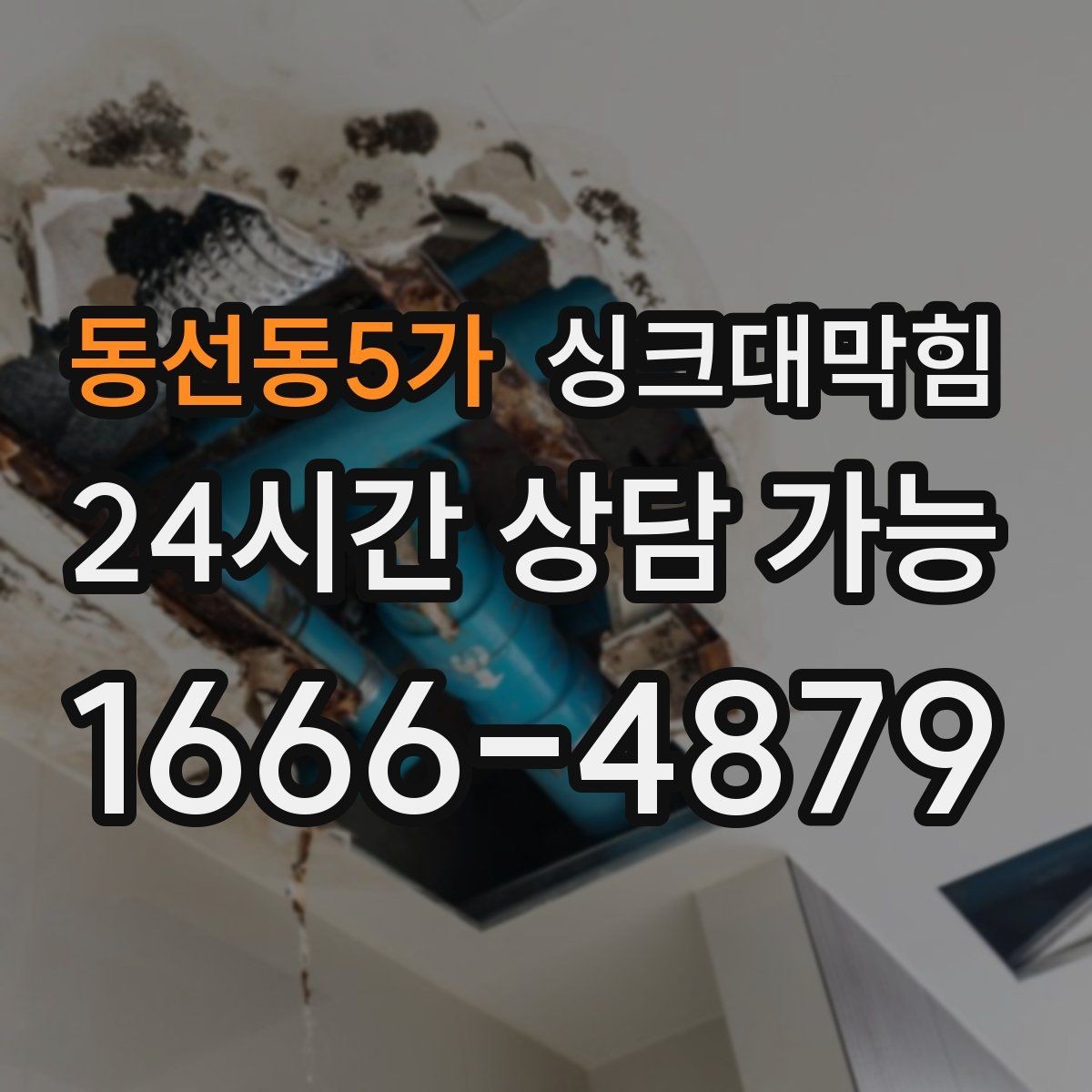 동선동5가 싱크대막힘 상가 키친 오픈 전 1시간 점검