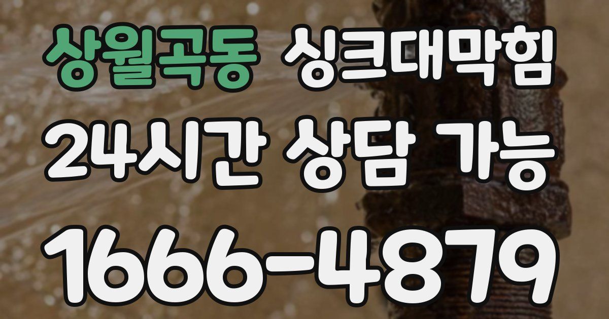 상월곡동 싱크대 뚫기