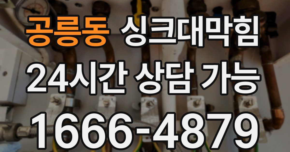 공릉동 싱크대 뚫기