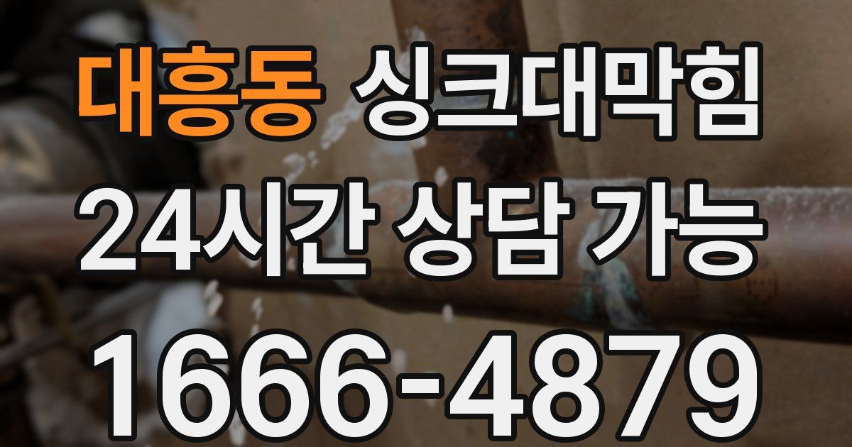 대흥동 싱크대 뚫기