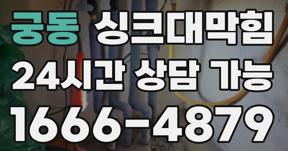 궁동 싱크대 뚫기