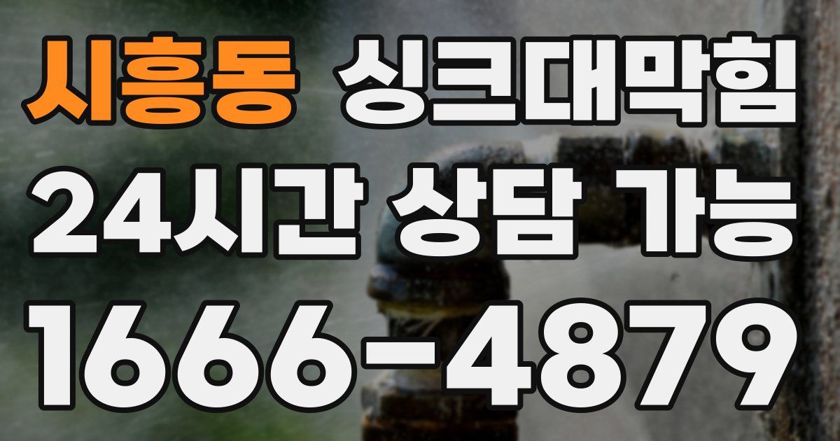 시흥동 싱크대 뚫기