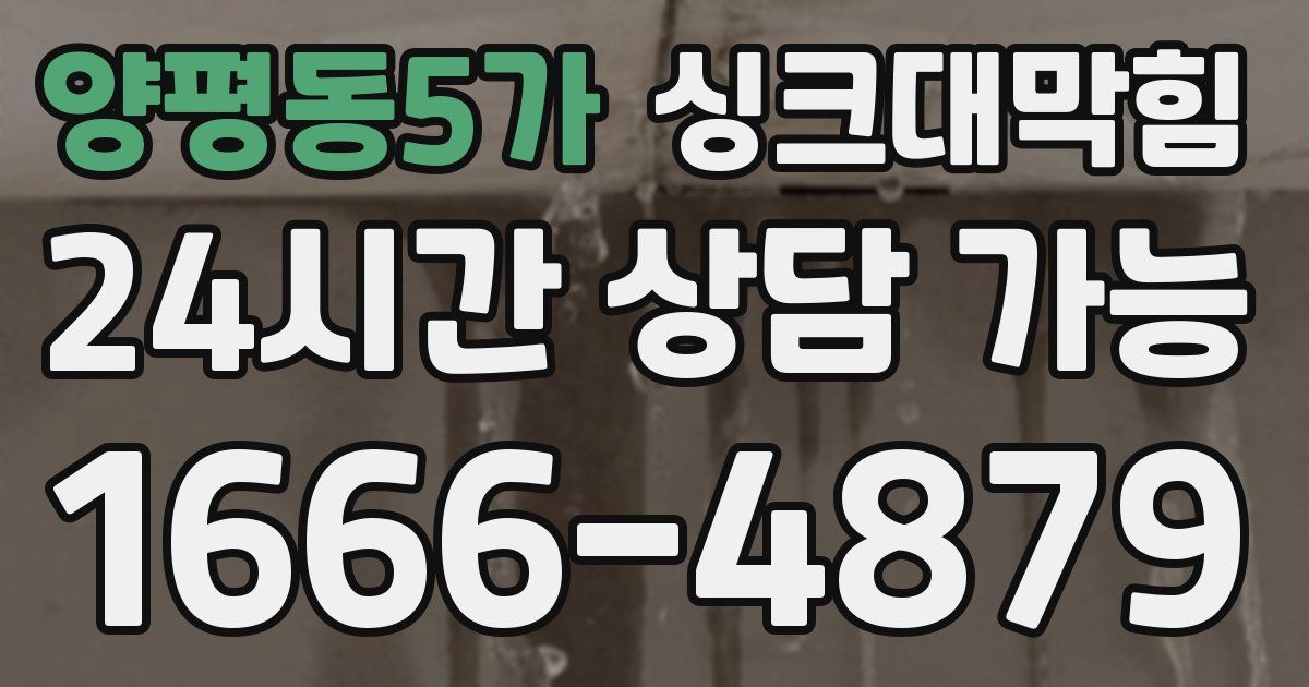양평동5가 싱크대 뚫기