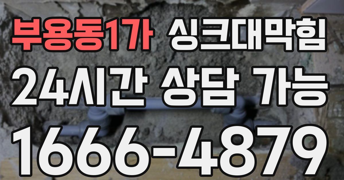 부용동1가 싱크대 뚫기