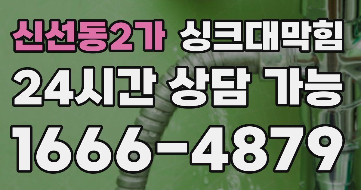 신선동2가 싱크대 뚫기