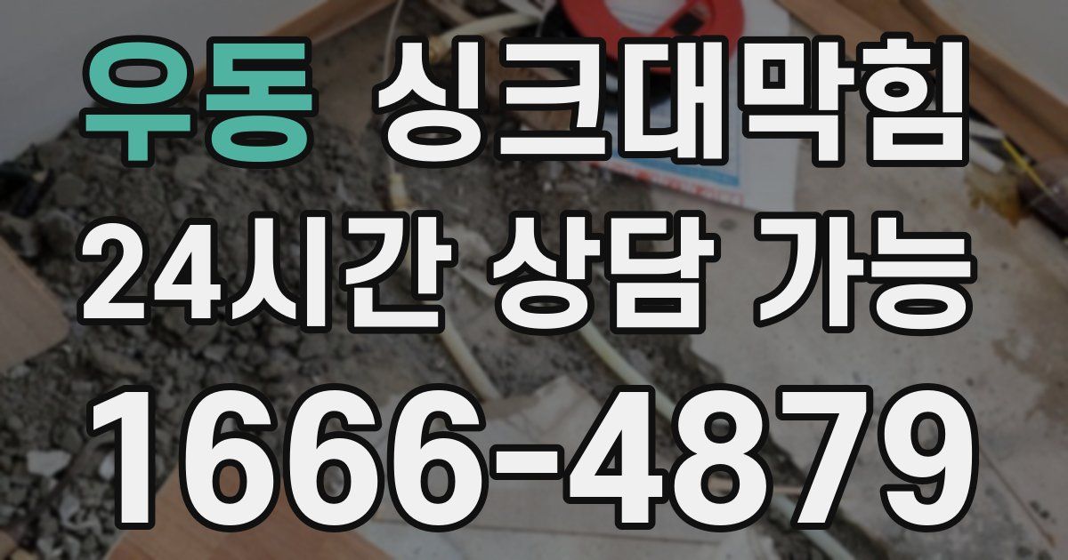 우동 싱크대 뚫기