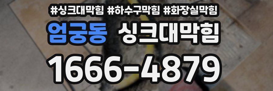 싱크대막힘
