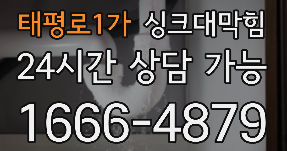 태평로1가 싱크대 뚫기