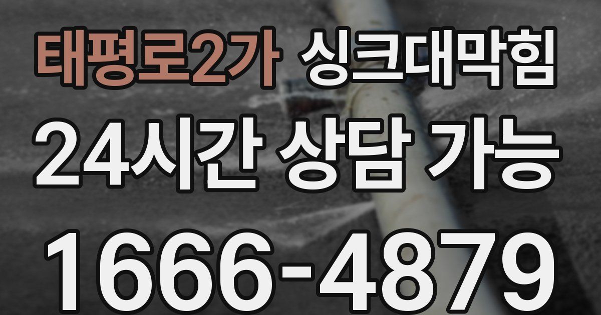태평로2가 싱크대 뚫기