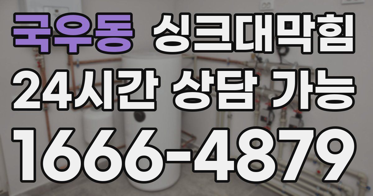 국우동 싱크대 뚫기