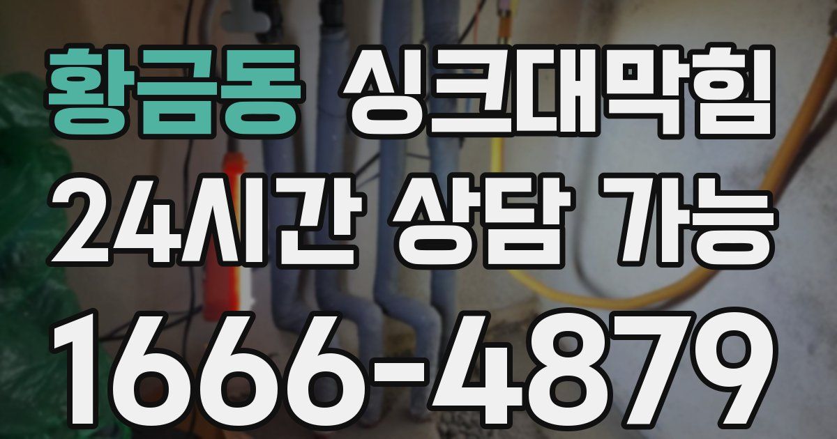 황금동 싱크대 뚫기