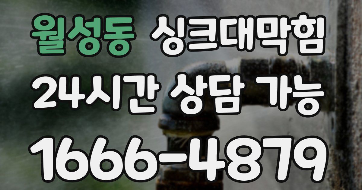 월성동 싱크대 뚫기