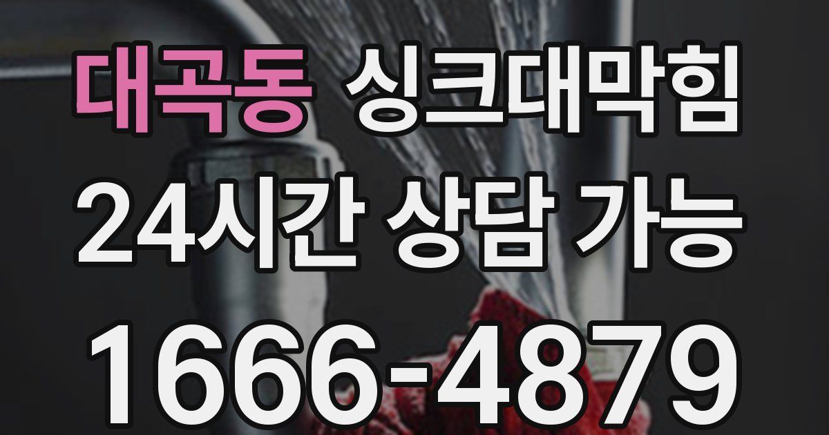 대곡동 싱크대 뚫기