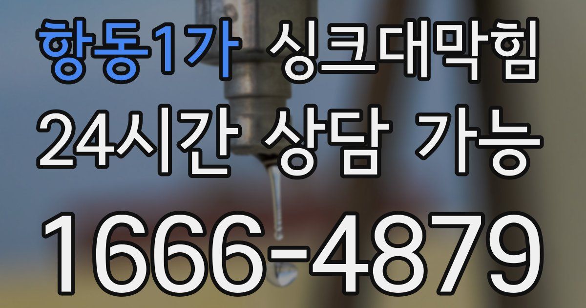 항동1가 싱크대 뚫기