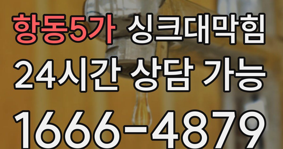 항동5가 싱크대 뚫기