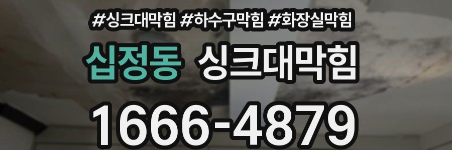 싱크대막힘