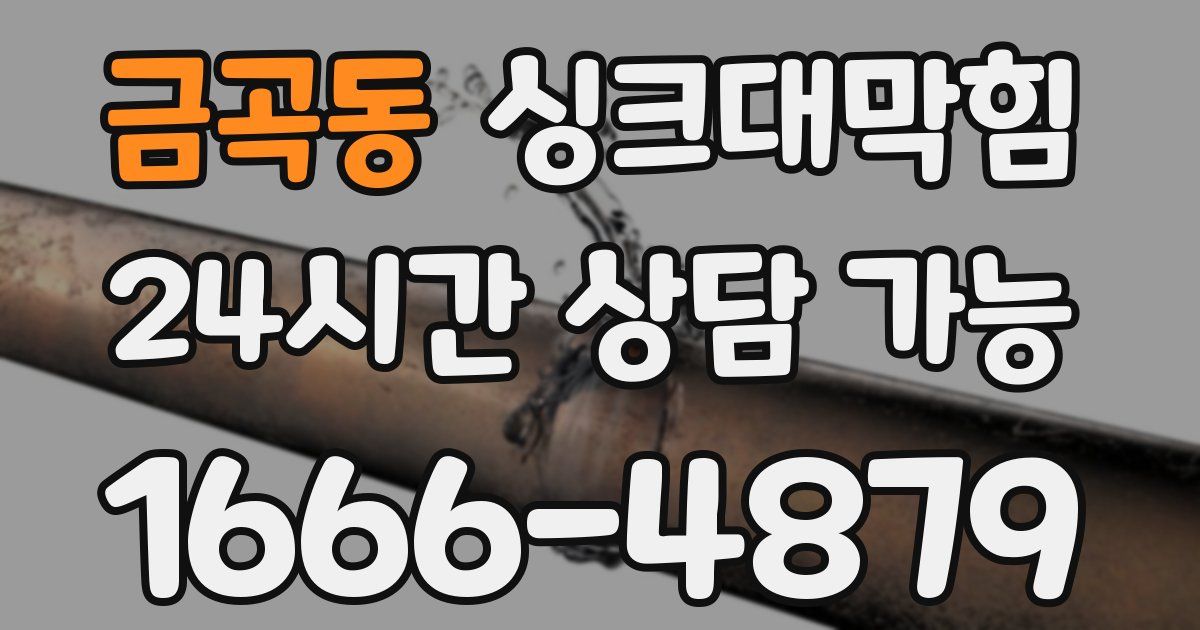금곡동 싱크대 뚫기