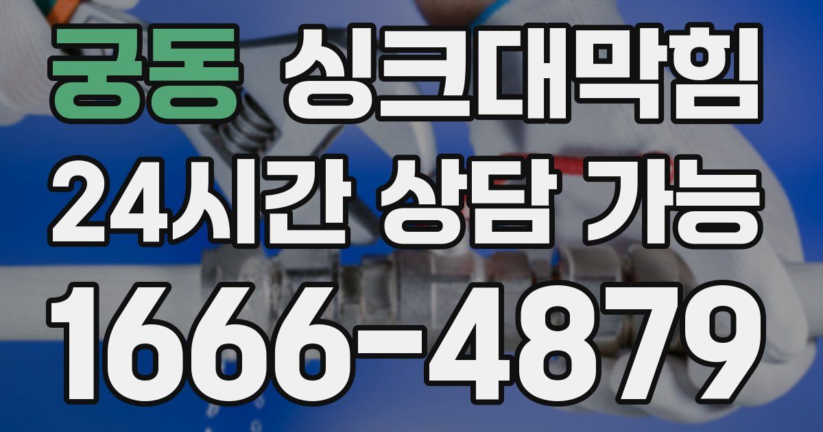 궁동 싱크대 뚫기