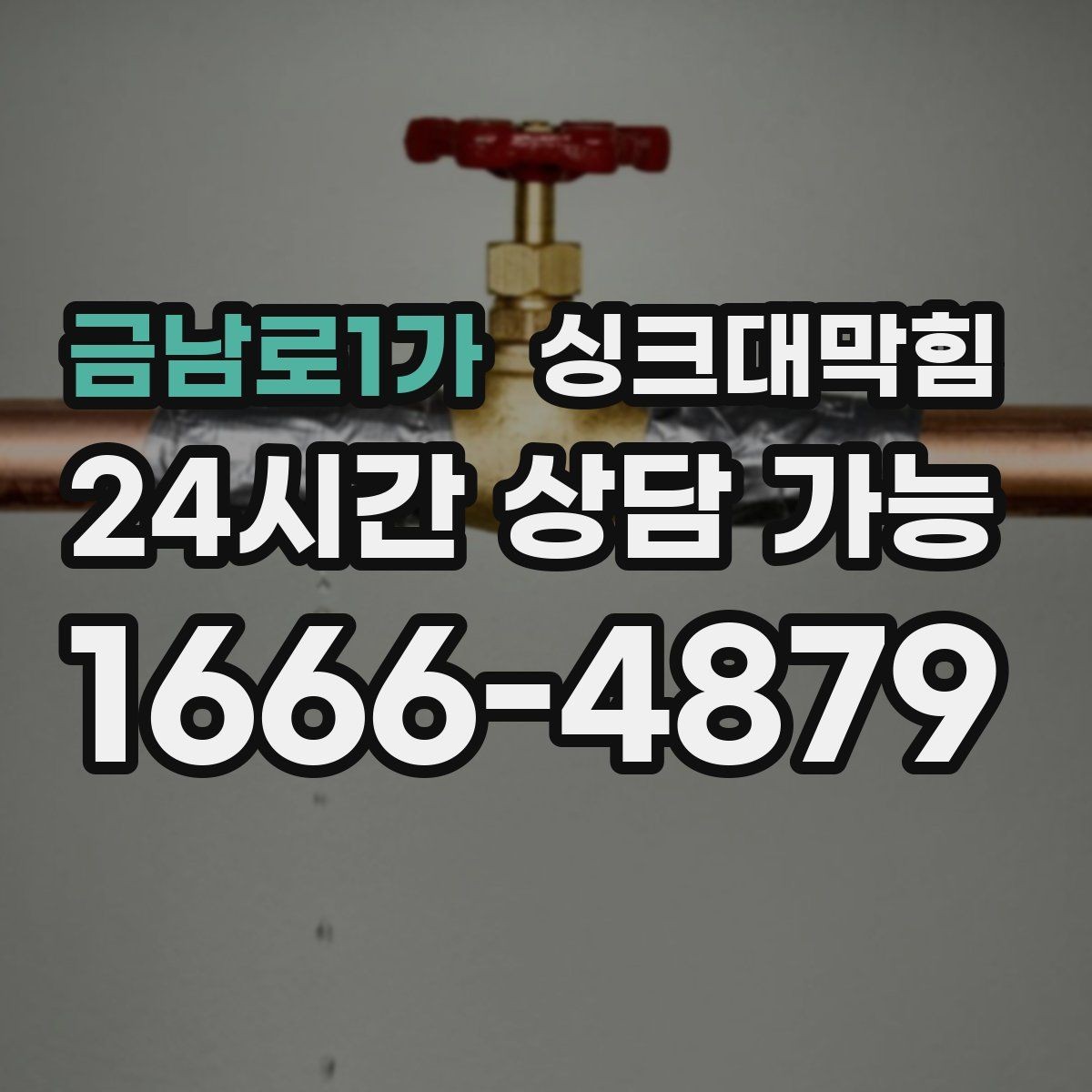 금남로1가 싱크대막힘 디스포저 칼날 이물 차단과 세정
