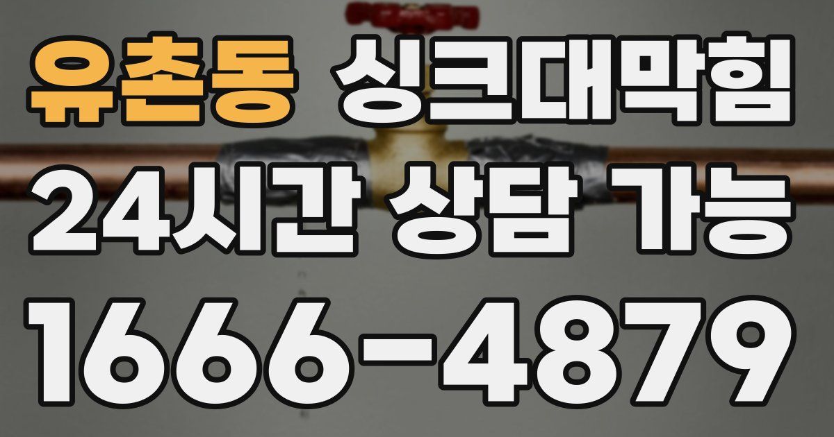 유촌동 싱크대 뚫기