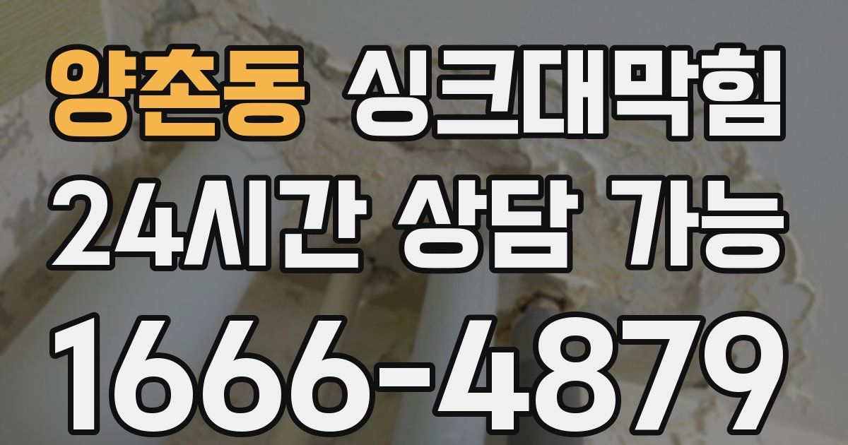 양촌동 싱크대 뚫기