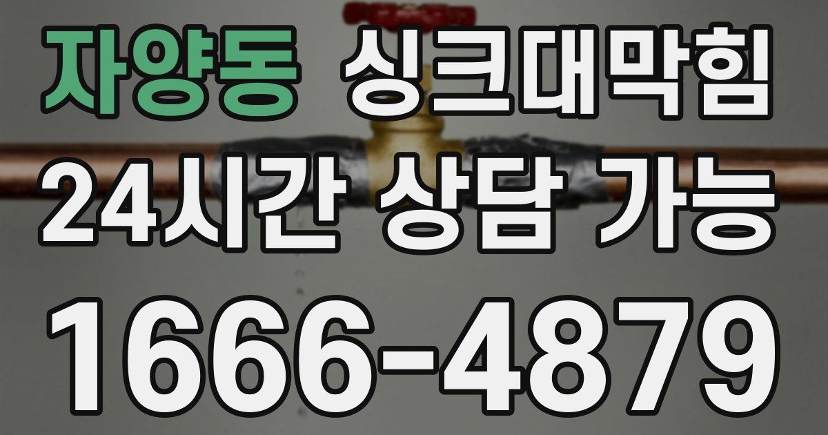 자양동 싱크대 뚫기