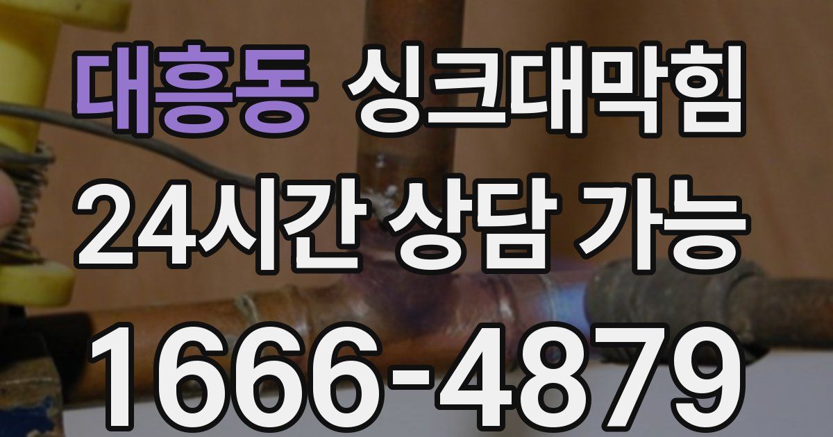 대흥동 싱크대 뚫기