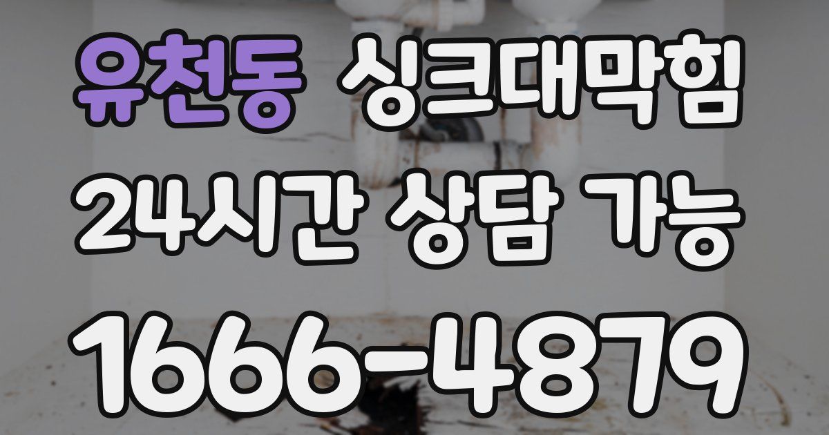 유천동 싱크대 뚫기