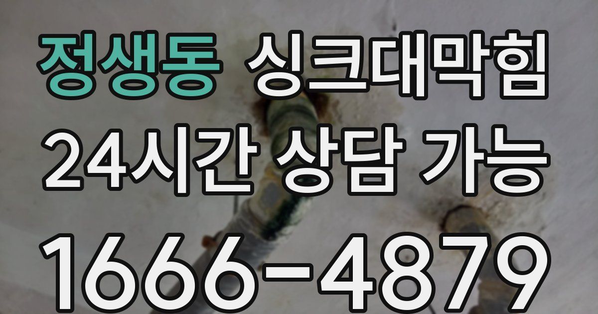 정생동 싱크대 뚫기