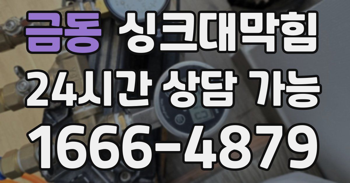 금동 싱크대 뚫기