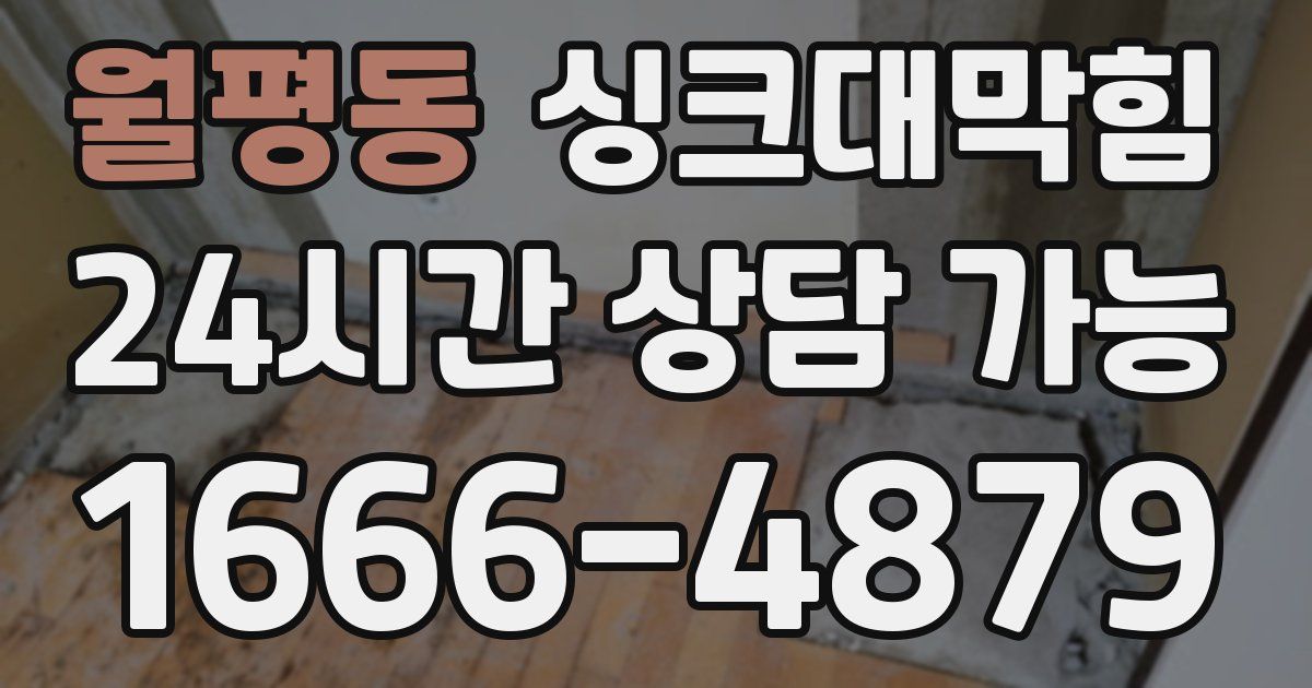월평동 싱크대 뚫기