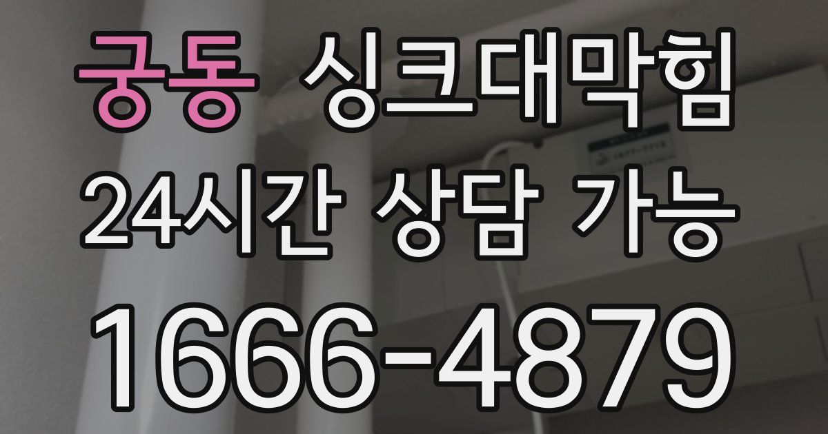 궁동 싱크대 뚫기