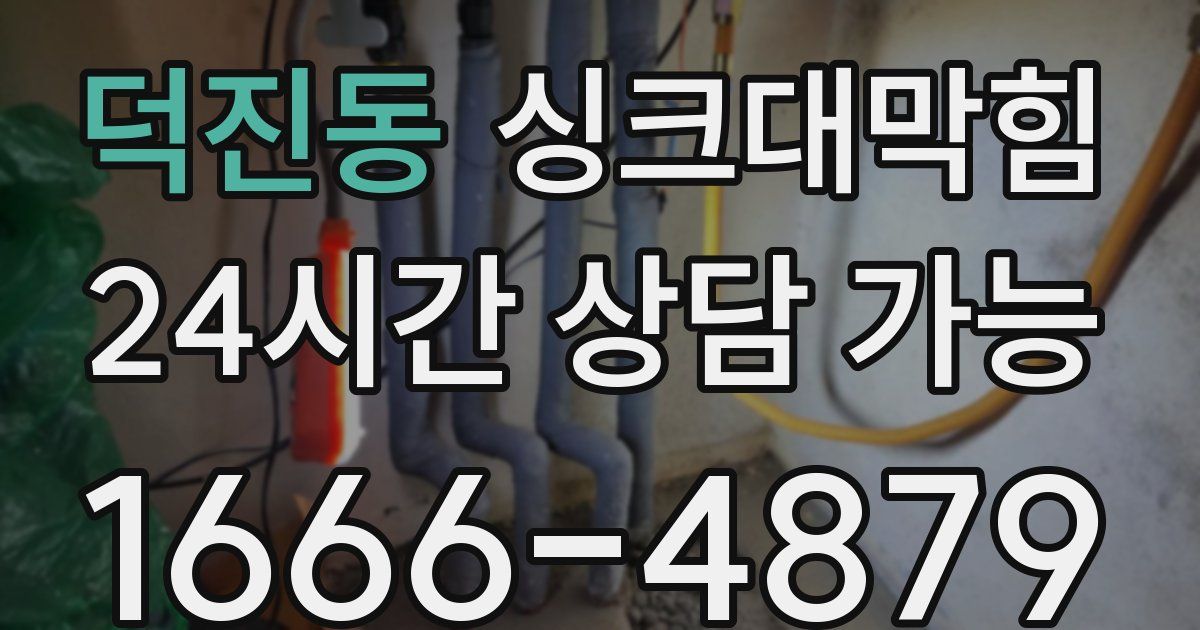 덕진동 싱크대 뚫기