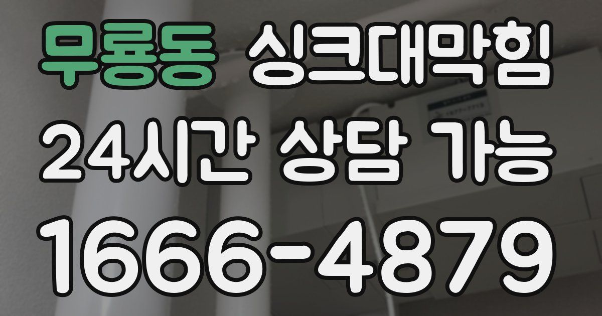 무룡동 싱크대 뚫기