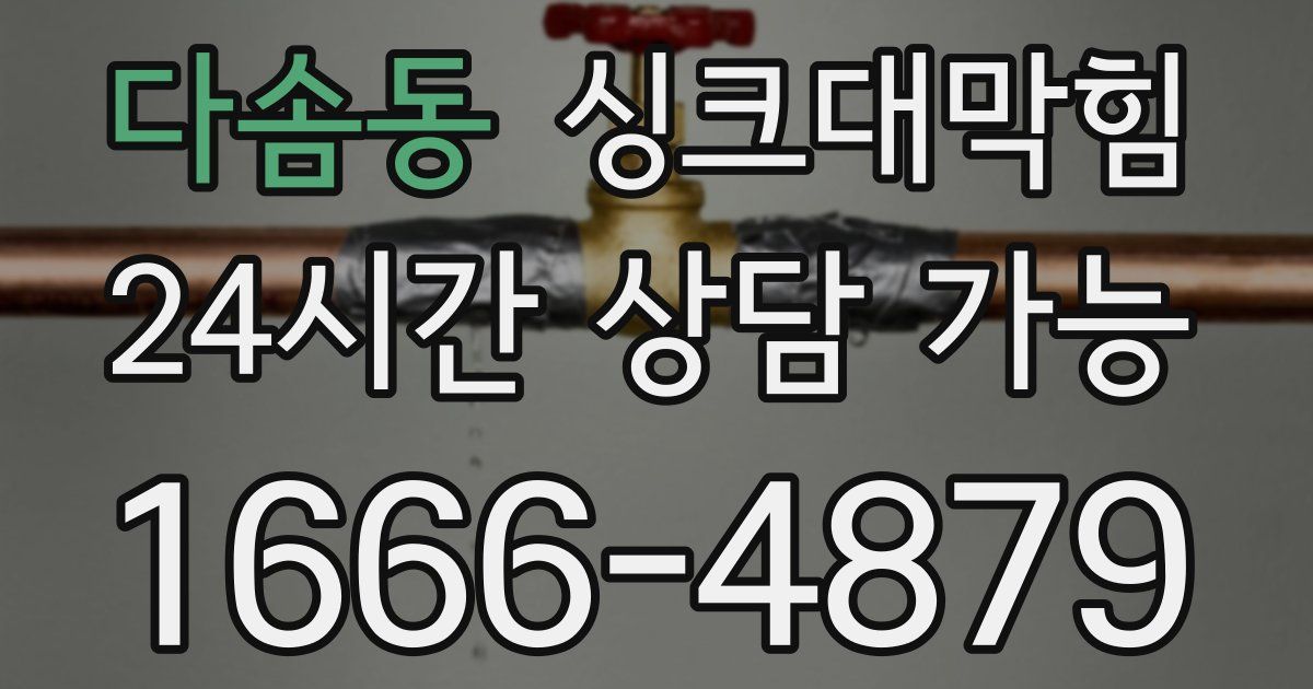 다솜동 싱크대 뚫기