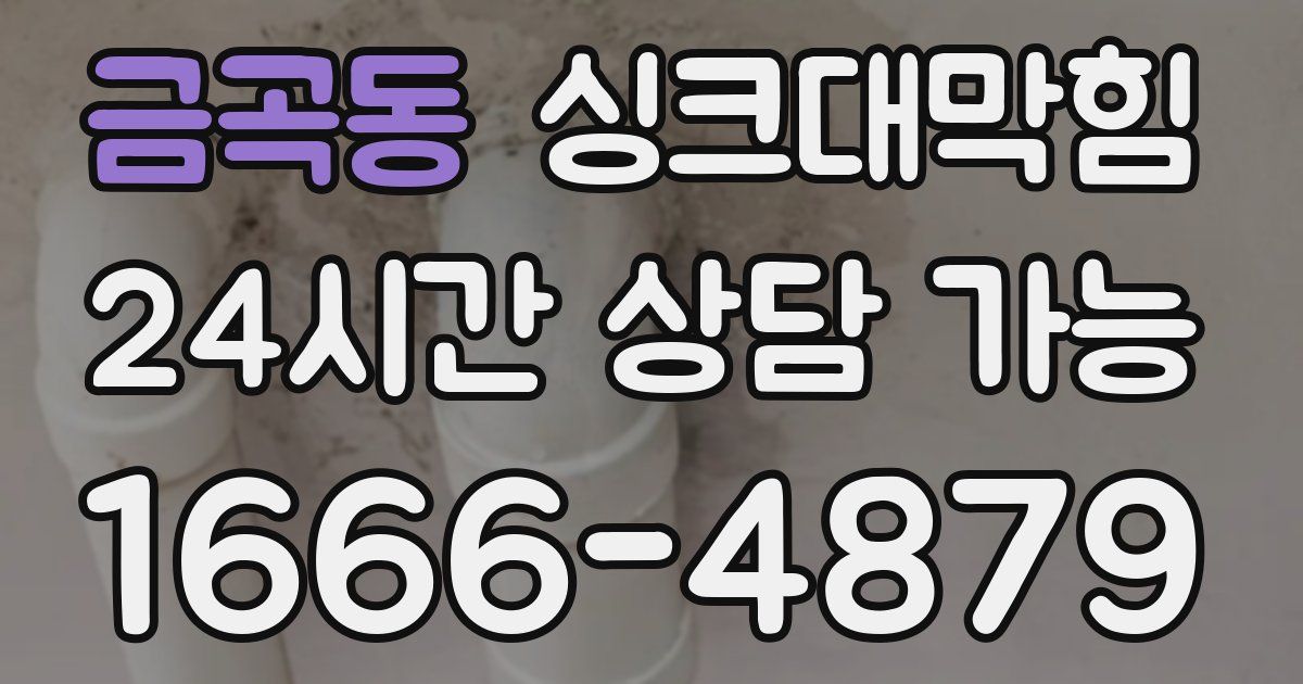 금곡동 싱크대 뚫기
