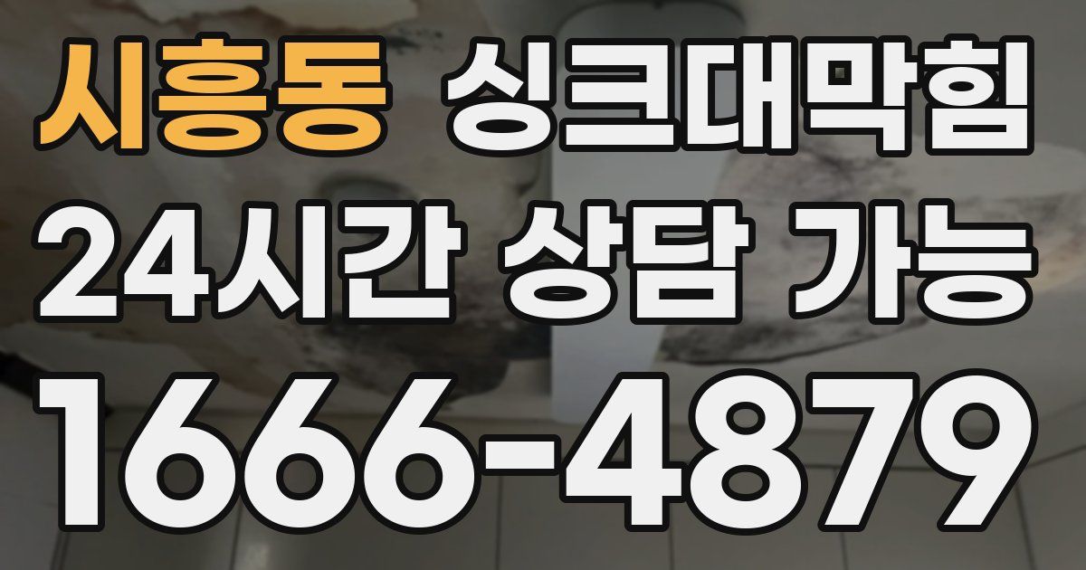 시흥동 싱크대 뚫기